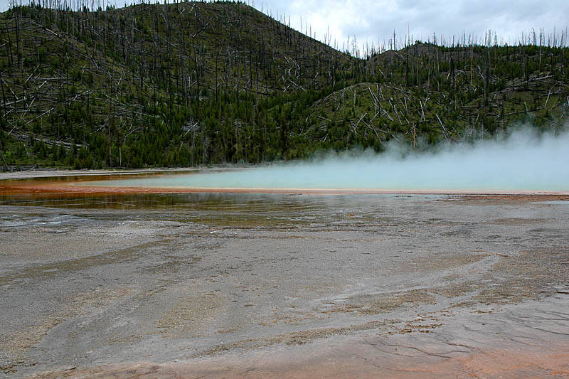  ::  Grand Prismatic ::  1
