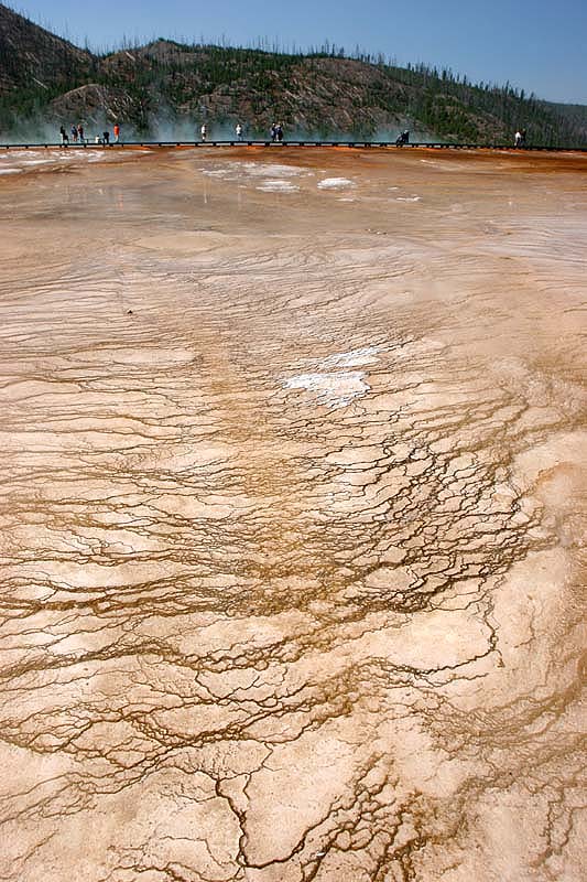  ::  Grand Prismatic ::  1