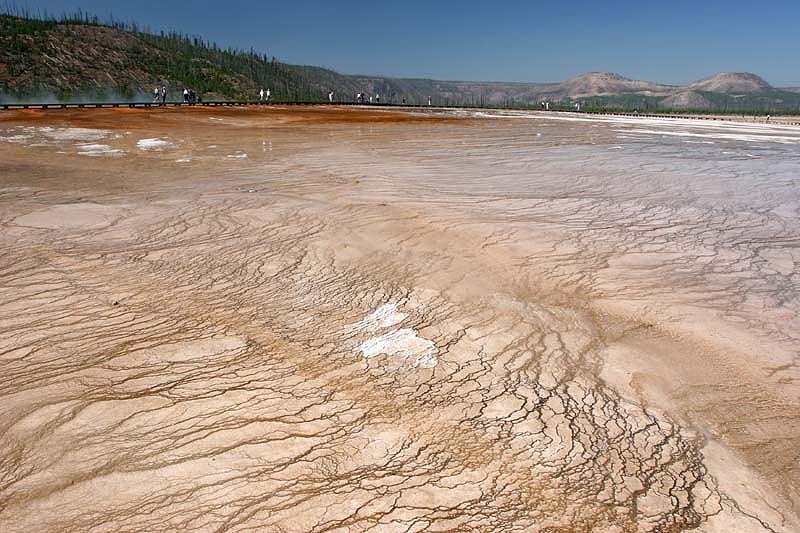  ::  Grand Prismatic ::  1