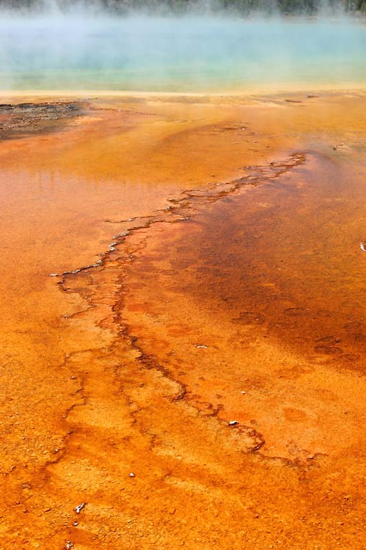  ::  Grand Prismatic ::  1