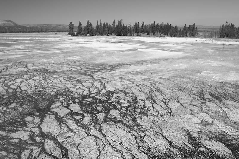  ::  Grand Prismatic ::  1