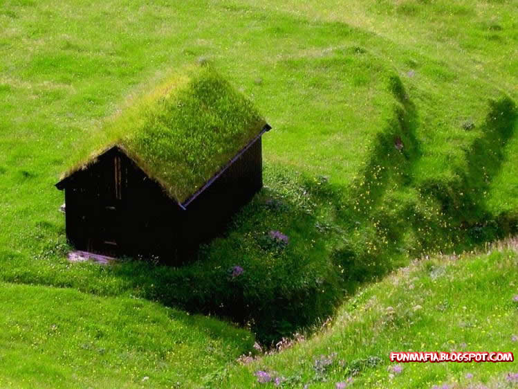  ::   ::  1