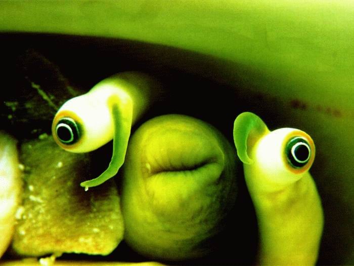   ::   ::  1