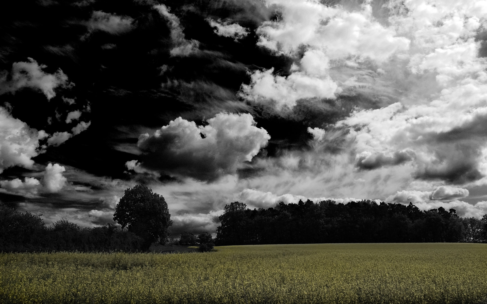 HDRI  ::  2