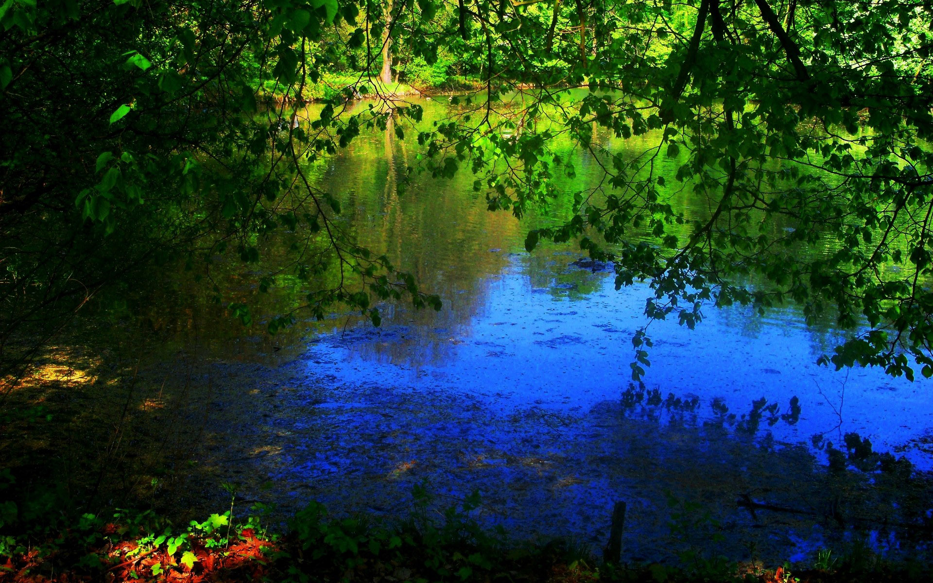 HDRI  ::  2
