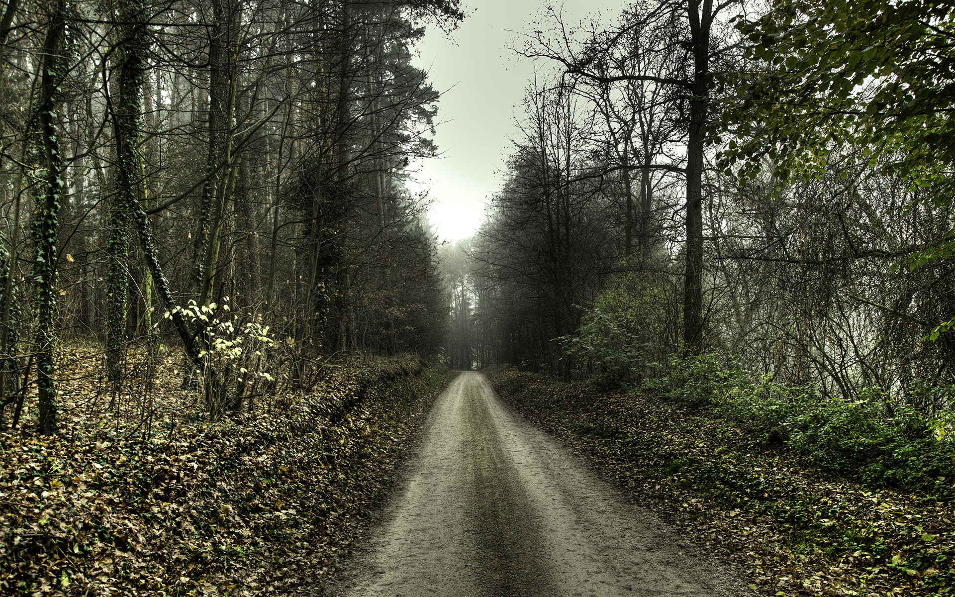 HDRI  ::  2