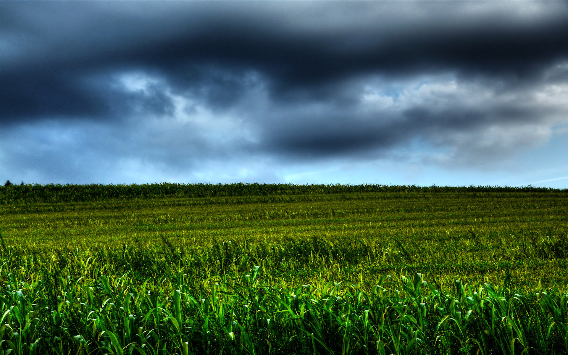 HDRI  ::  2