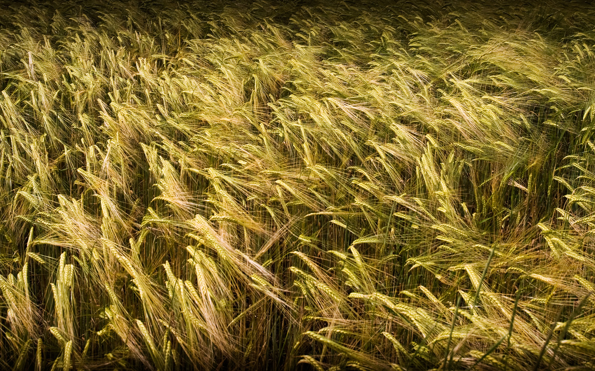 HDRI  ::  2