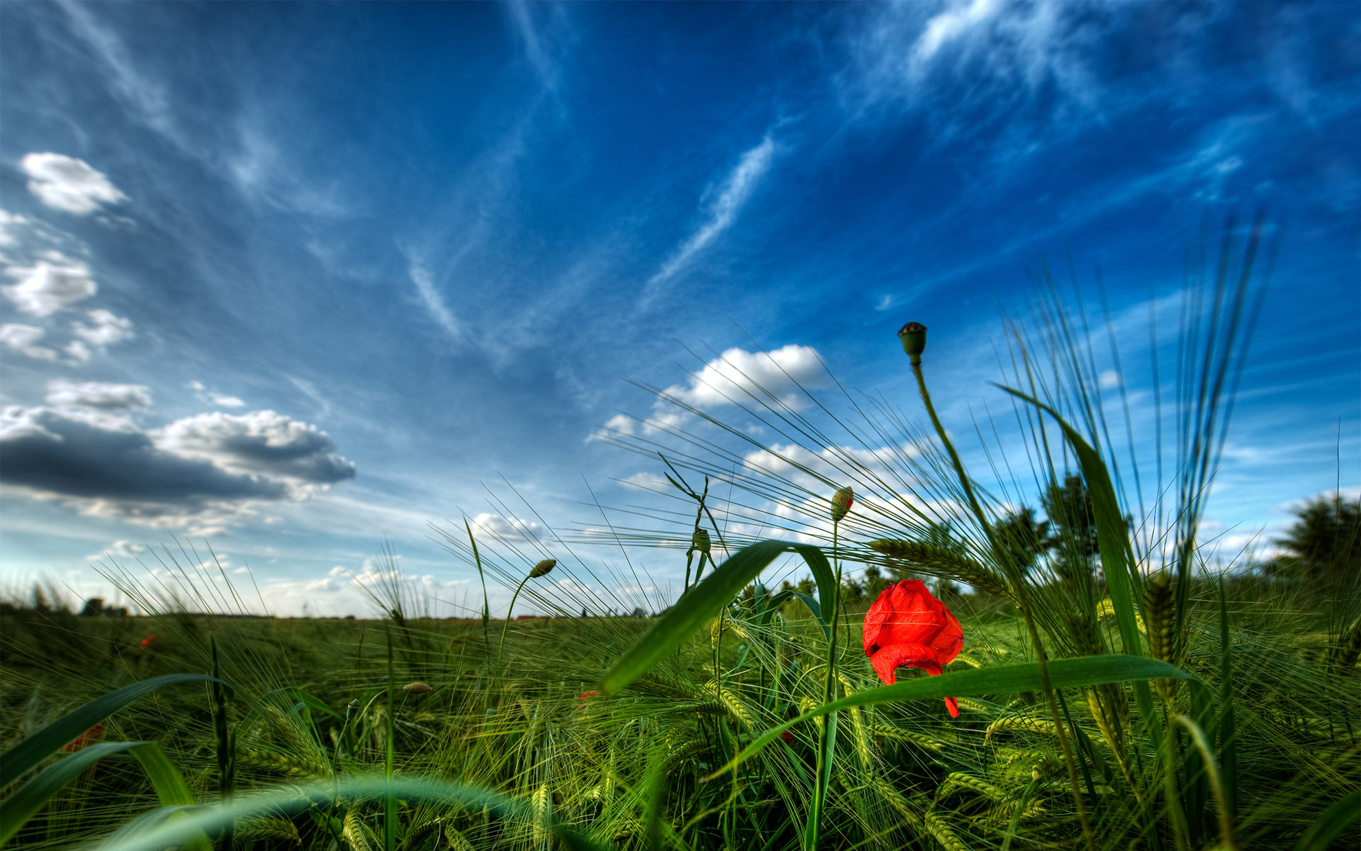HDRI  ::  2