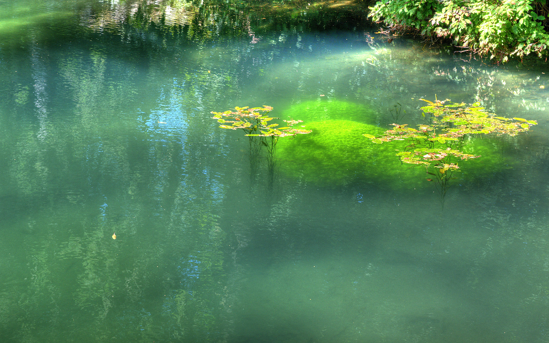 HDRI  ::  2