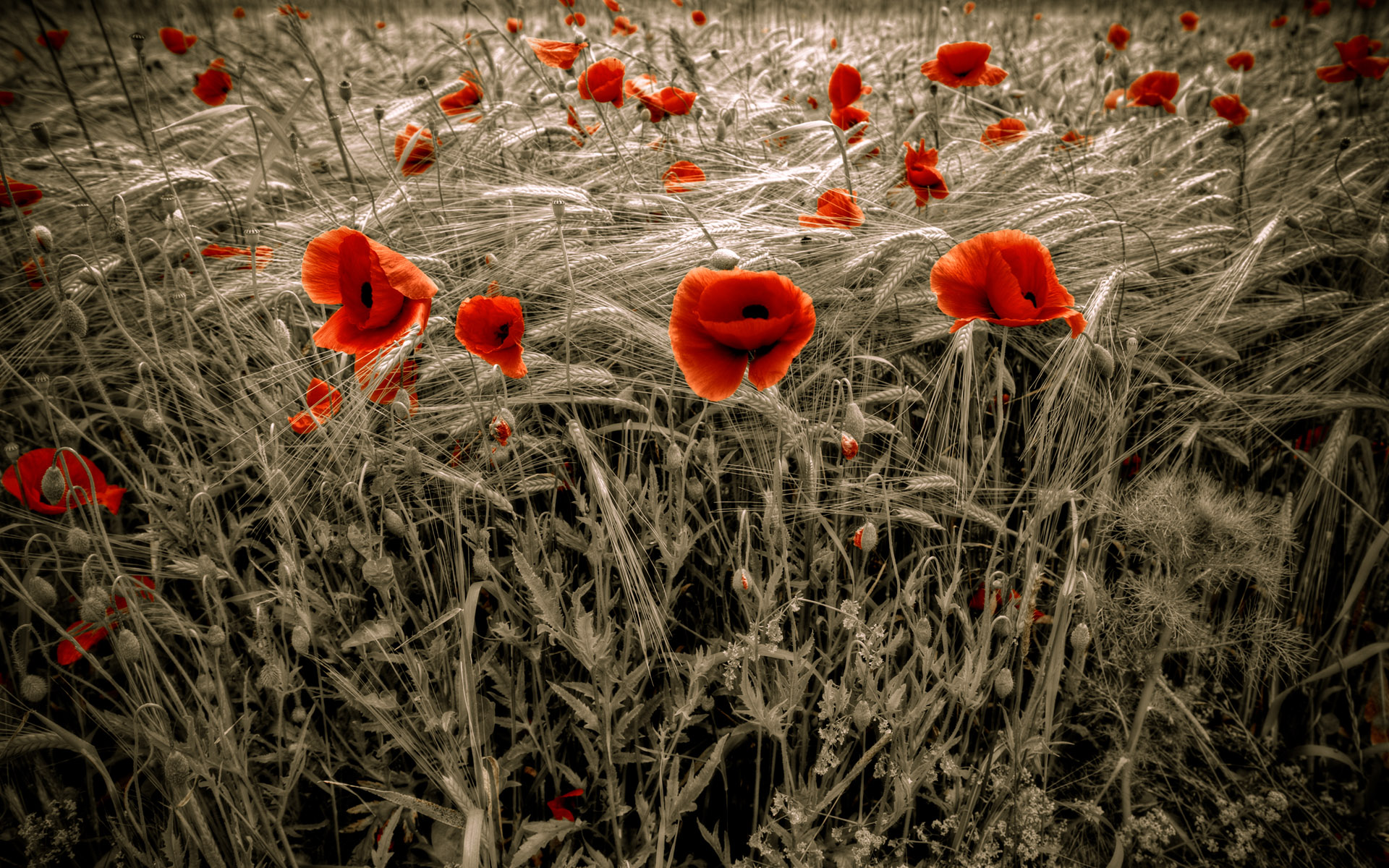 HDRI  ::  2