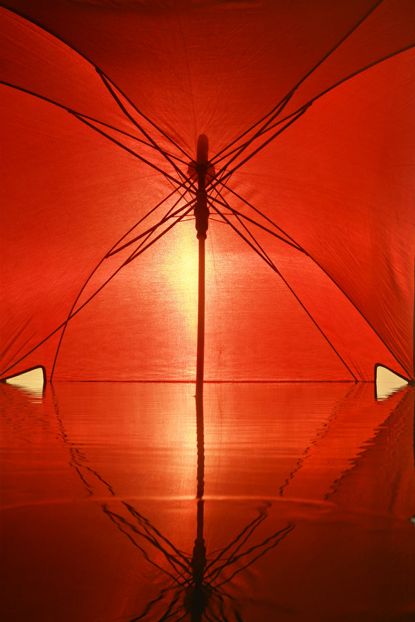  ::  Hermin Abramovitch ::  1
