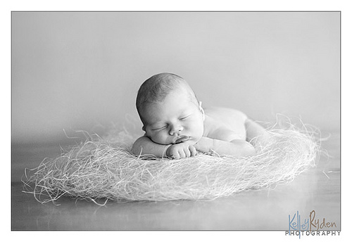  :: . Kelley Ryden. ::  2
