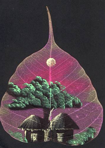   ::   1