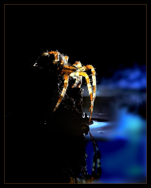  ::  ::  2
