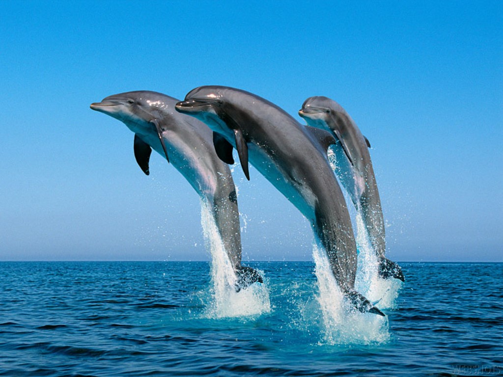   ::    ::  2