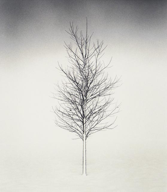  ::  Michael Kenna ::  2