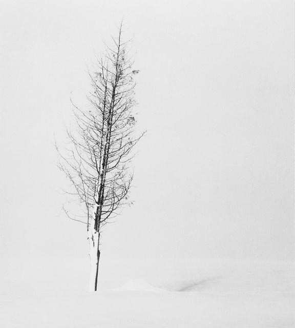  ::  Michael Kenna ::  2