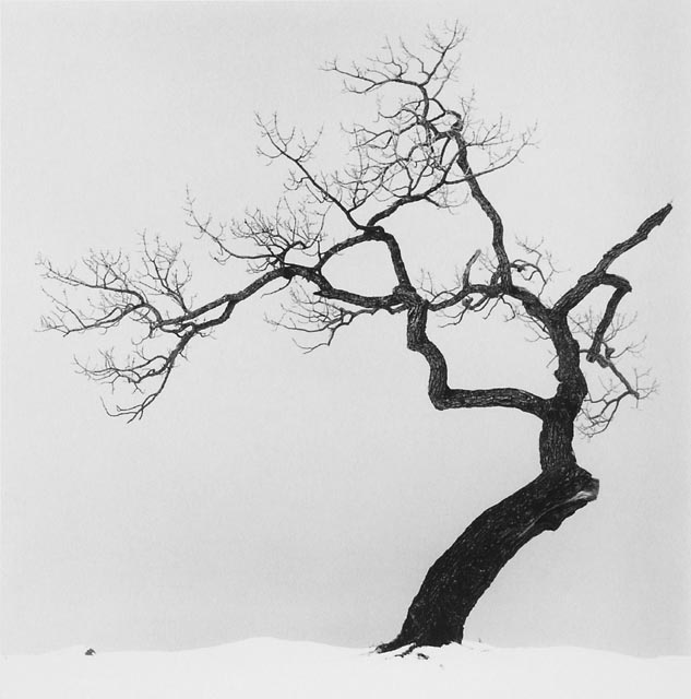 ::  Michael Kenna ::  2