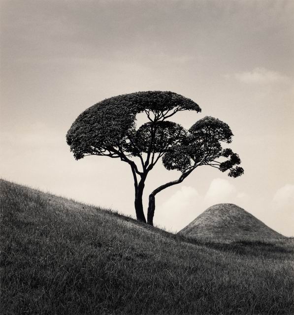  ::  Michael Kenna ::  2