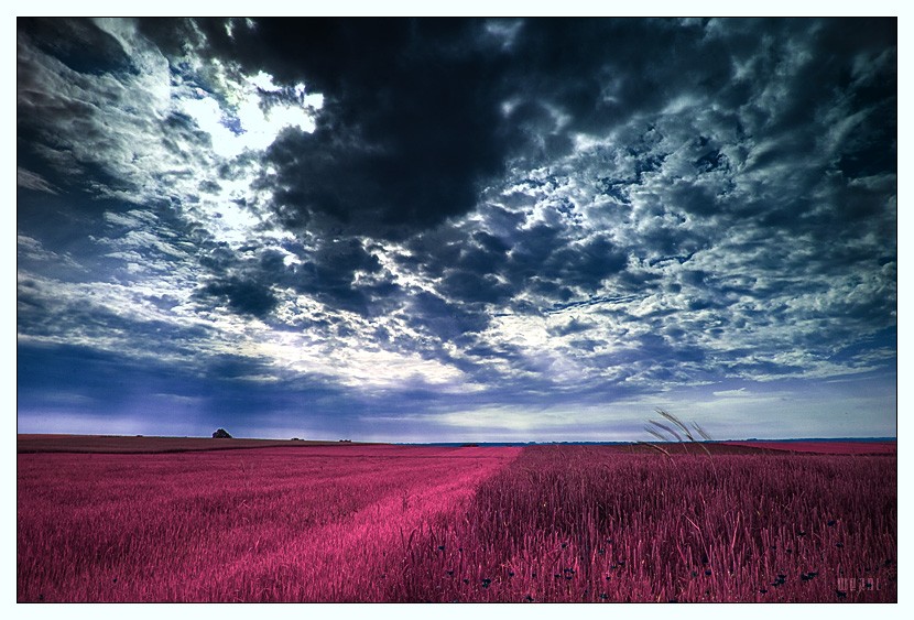  ::  Michal Mierzejewski ::  2