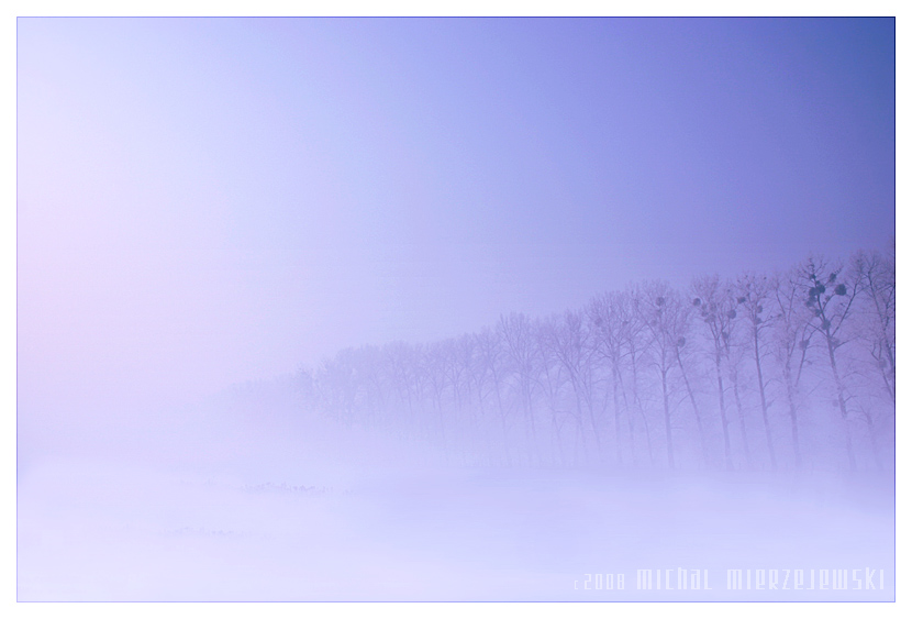  ::  Michal Mierzejewski ::  2
