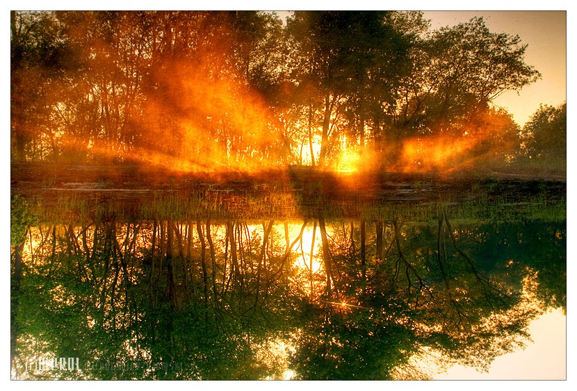  ::  Michal Mierzejewski ::  2