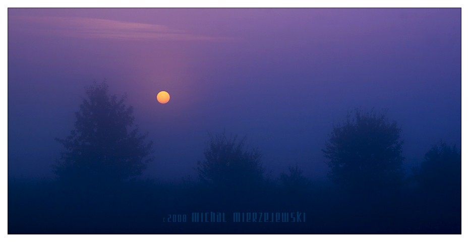  ::  Michal Mierzejewski ::  2