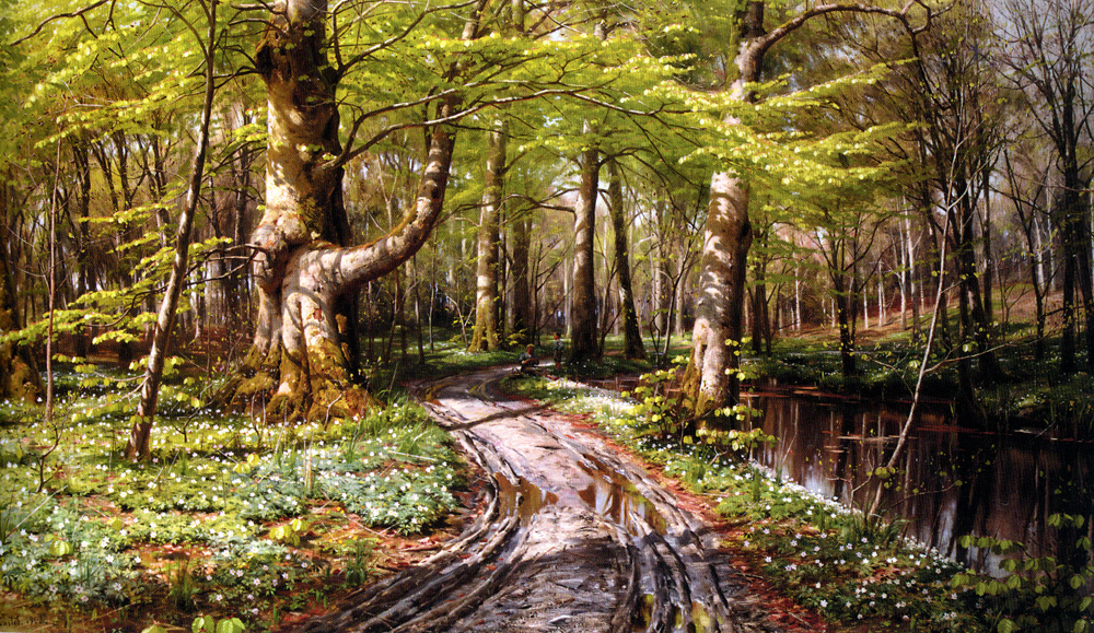  ::  Peder Monsted ::  2