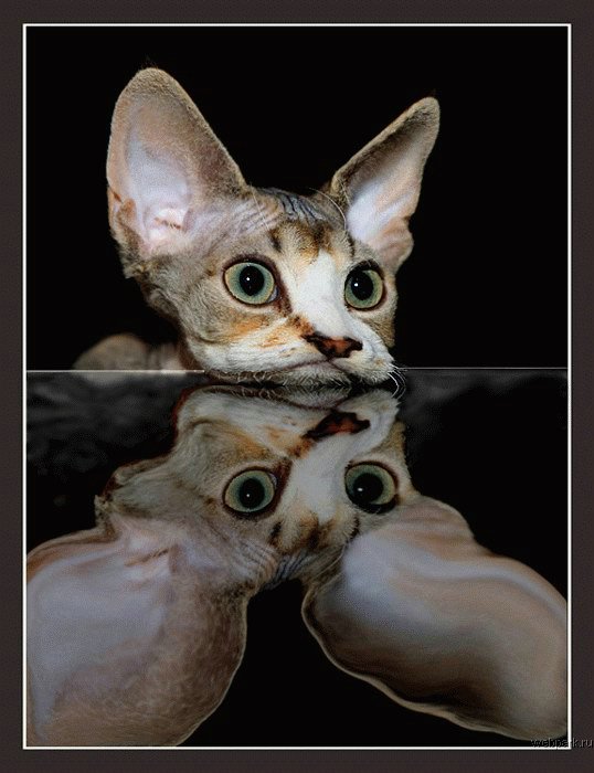   ::    ::  2