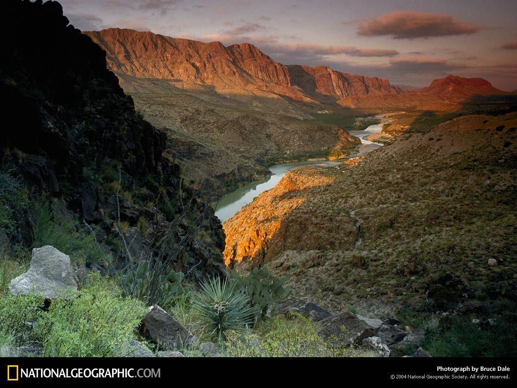   :: National Geographic ::  2