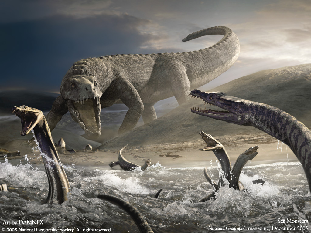   :: National Geographic ::  2
