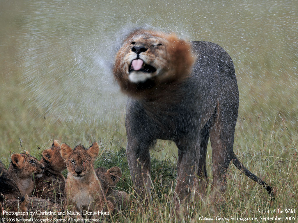   :: National Geographic ::  2