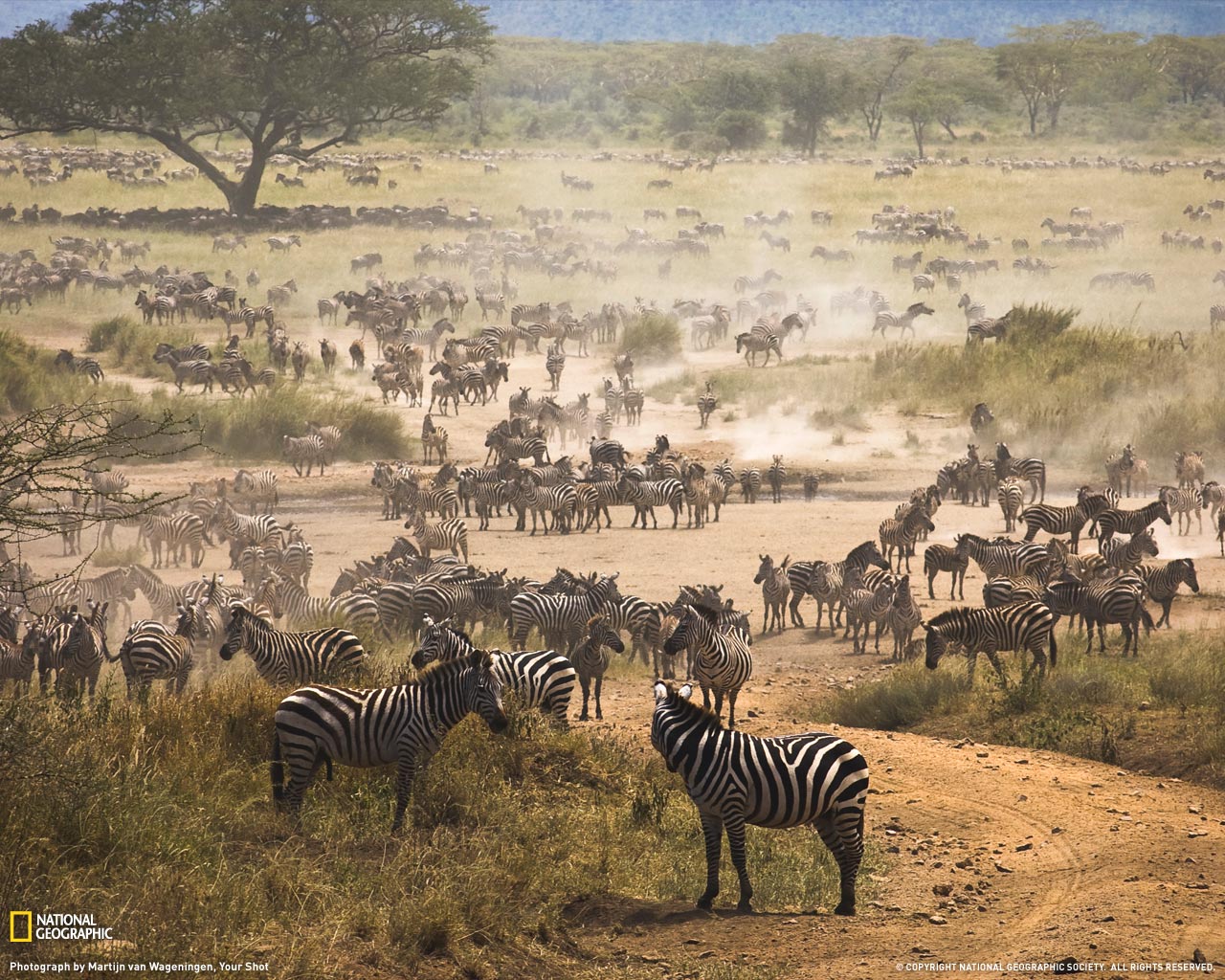  National Geographic ::  1