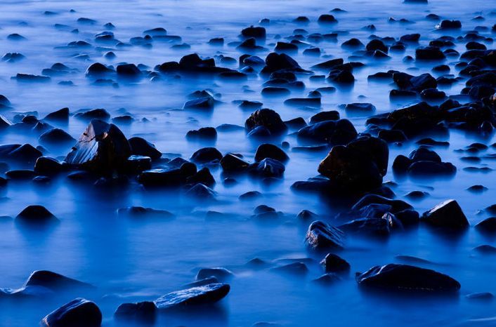  :: National Geographic Contest 2007 ::  2
