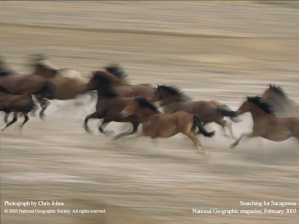   :: National Geographics ::  2