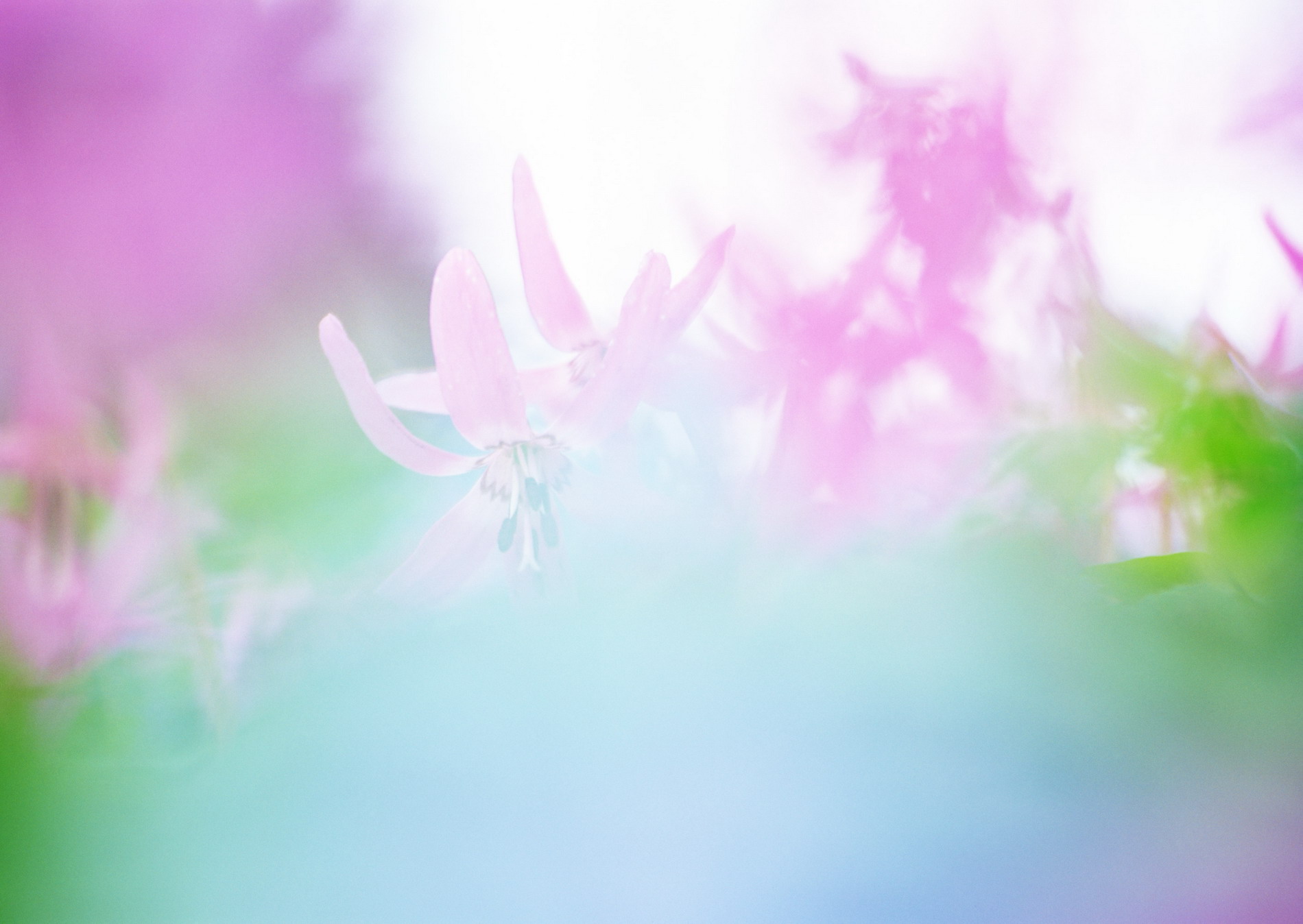      ::  2