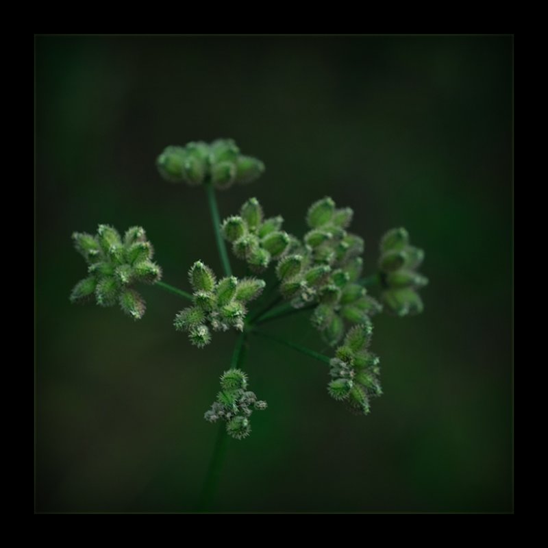  :: , ,  ::  2
