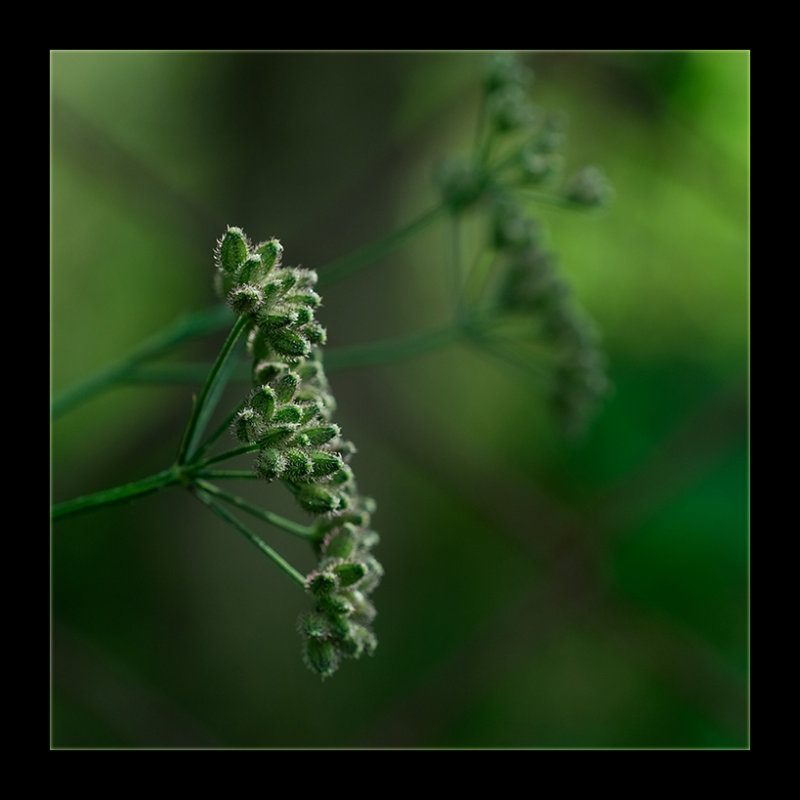  :: , ,  ::  2