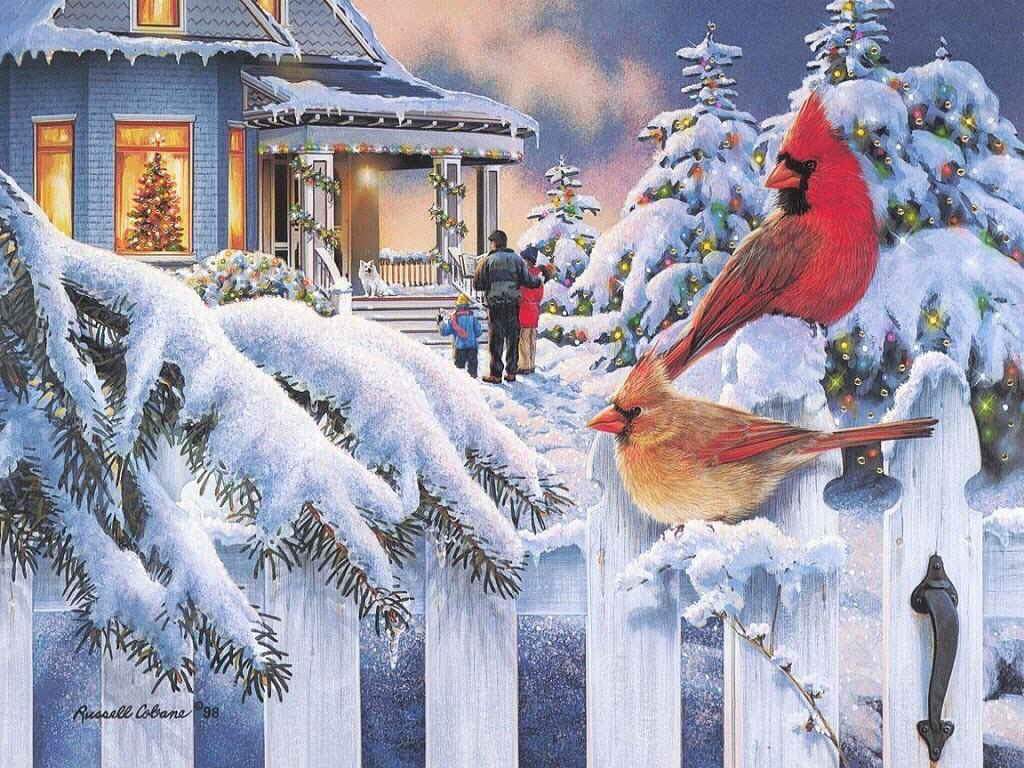     ::   ::  2
