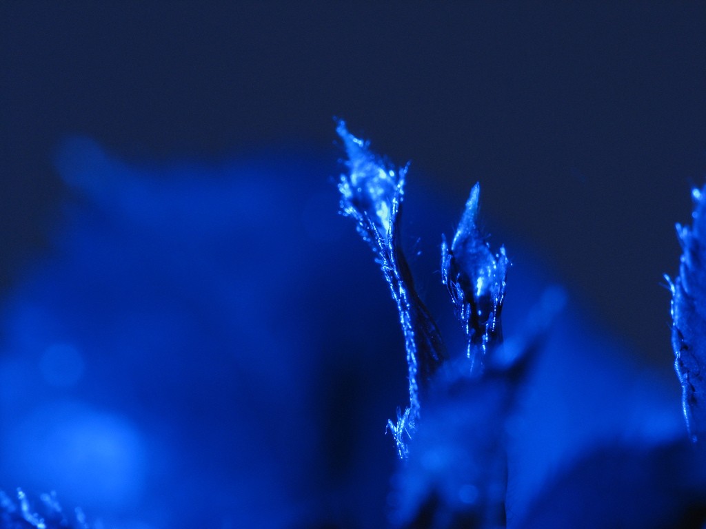  ::   ::  2