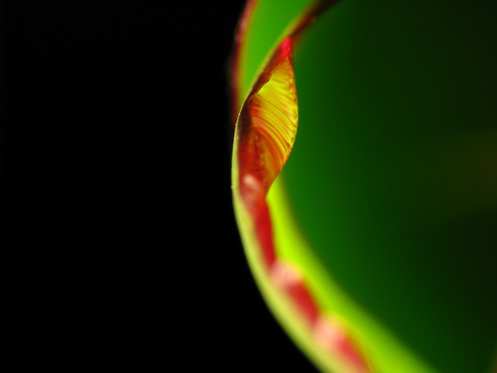  ::   ::  2