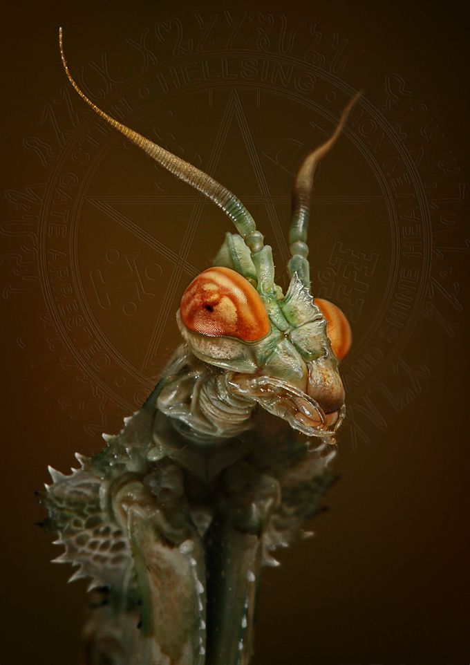   ::    ::  2