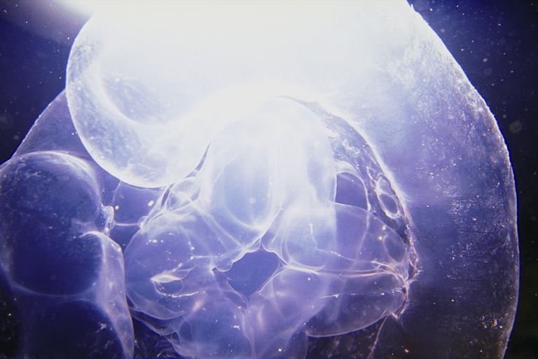 ::   ::  2