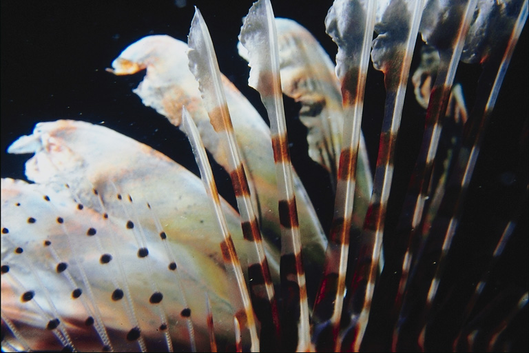  ::   ::  2