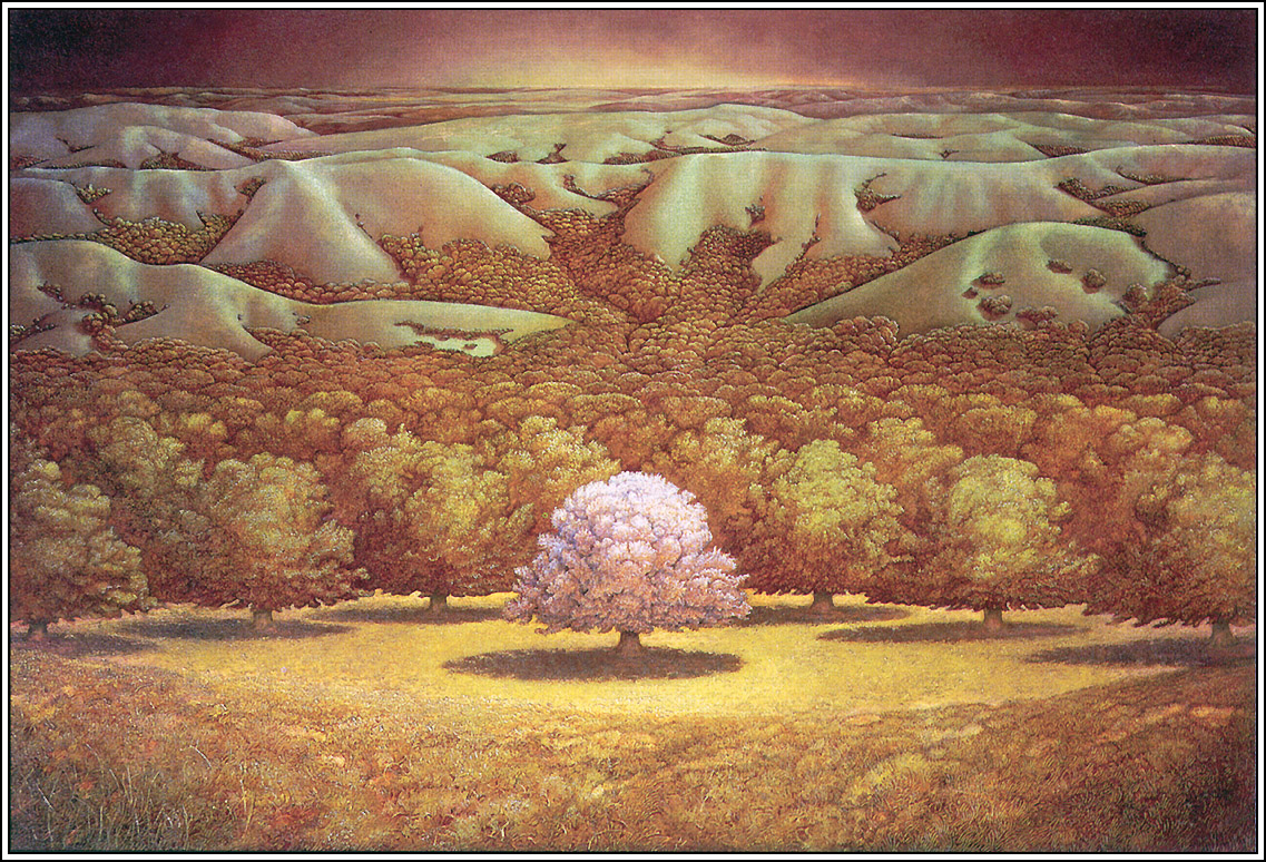  ::   (Patrick Woodroffe) ::  2