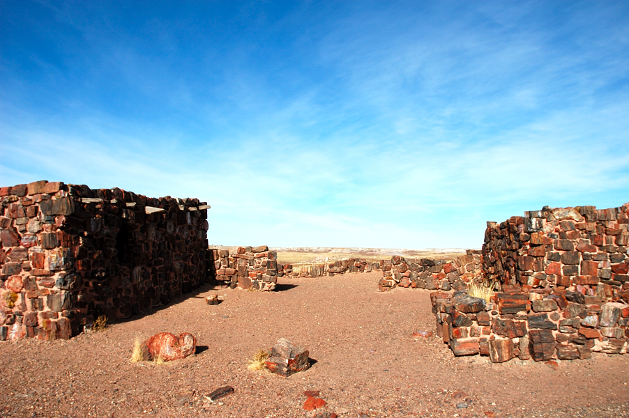  ::   (Petrified forest) ::  2