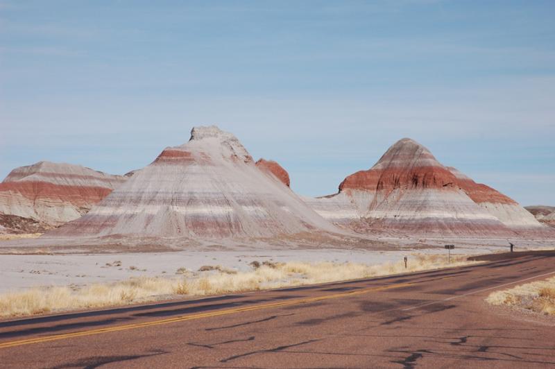  ::   (Petrified forest) ::  2