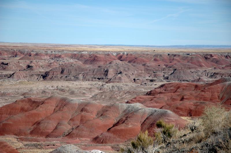  ::   (Petrified forest) ::  2
