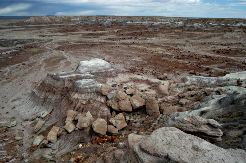  ::   (Petrified forest) ::  2